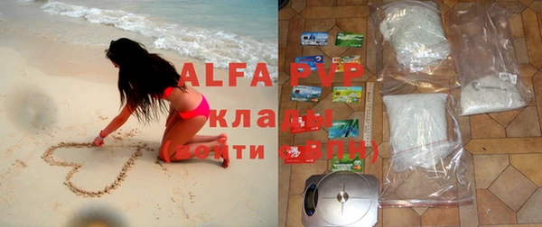 шишки Магас