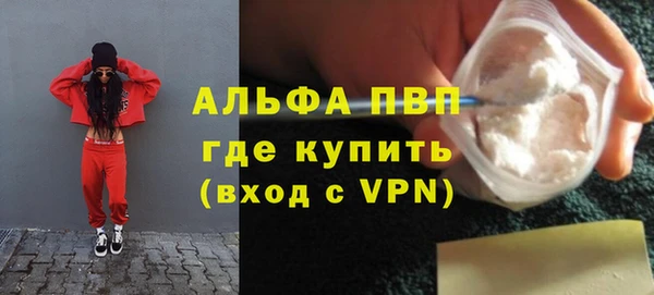 шишки Магас