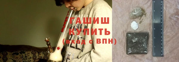 шишки Магас