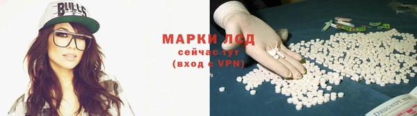 эйфоретик Майский
