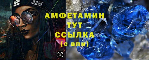 шишки Магас