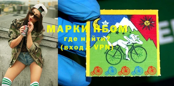 шишки Магас
