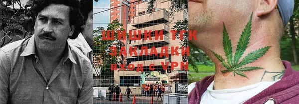 шишки Магас