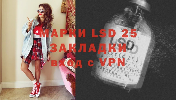 шишки Магас