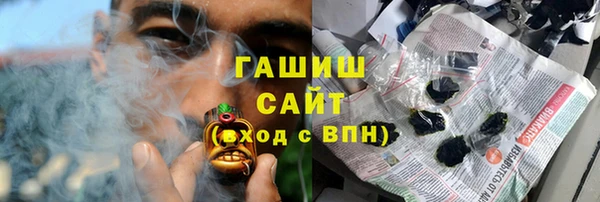 шишки Магас
