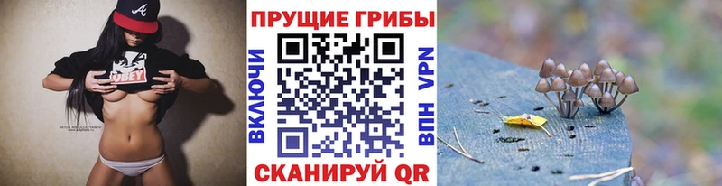 Галлюциногенные грибы мицелий  Болгар 