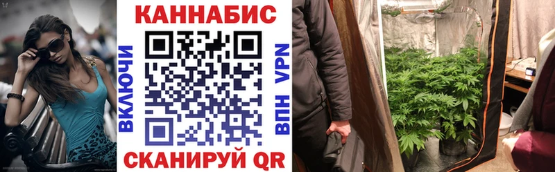 Бошки марихуана THC 21% Болгар